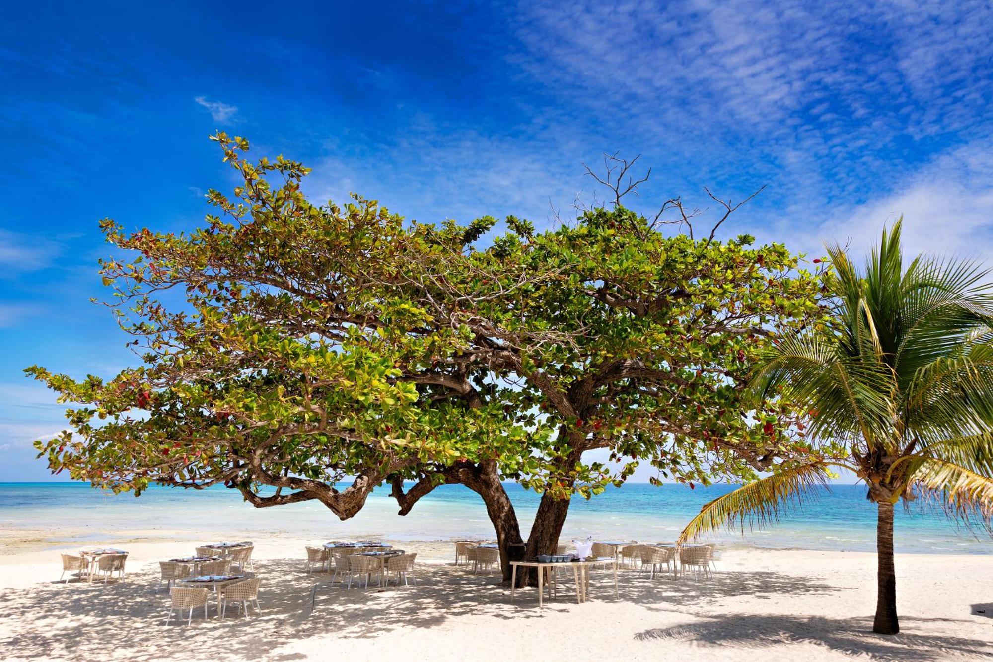 Bawe Island Zanzibar酒店 外观 照片